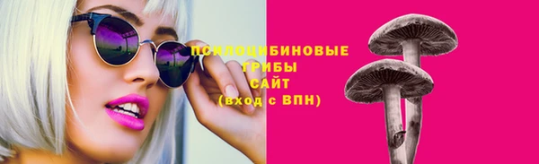 индика Ельня